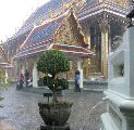 Tempel im Regen